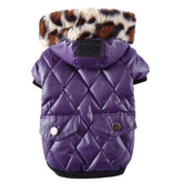 pet dog clothing for Winter